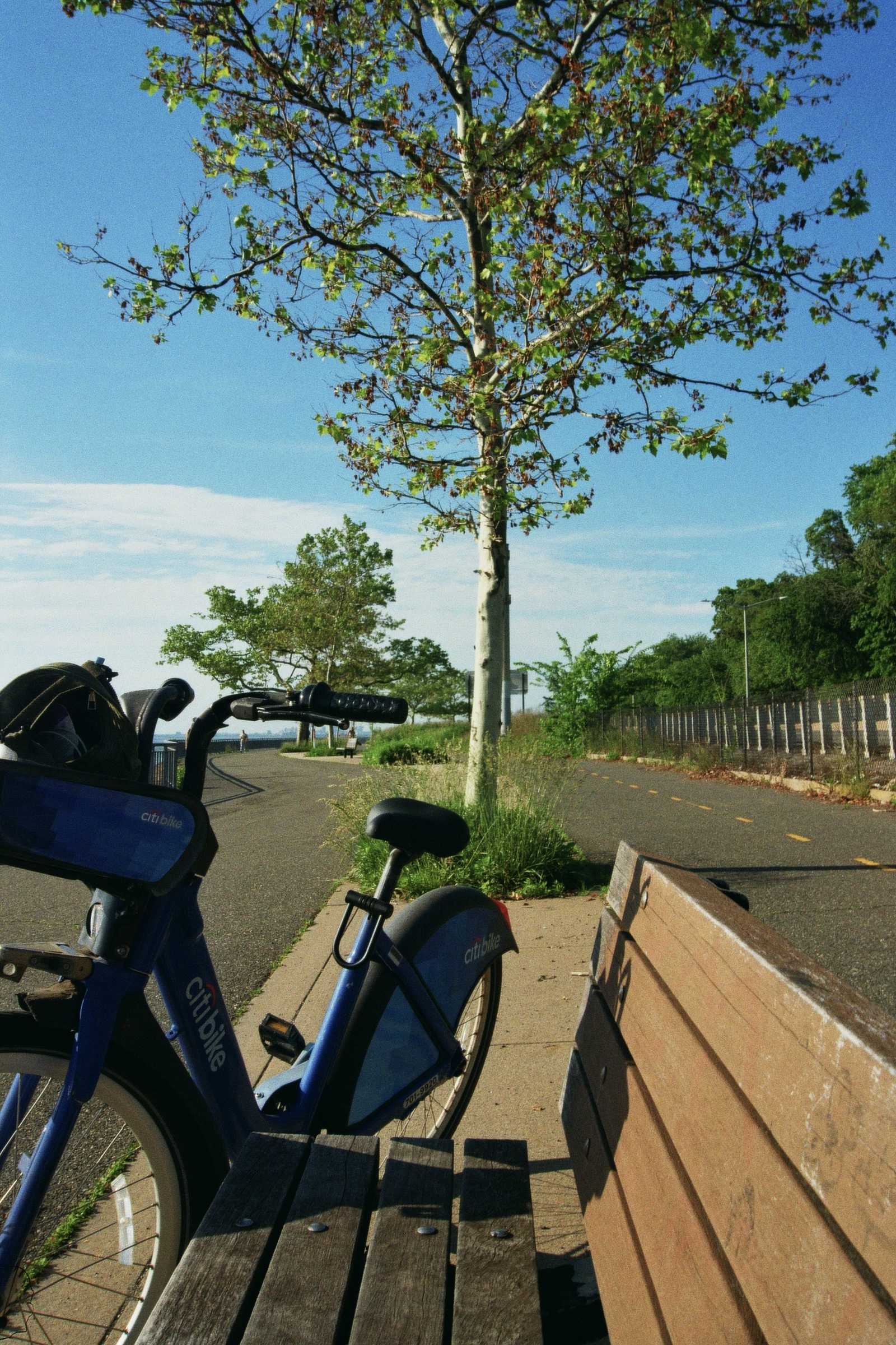 Film photograph, Citi Bike on a park path